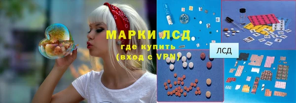 ПСИЛОЦИБИНОВЫЕ ГРИБЫ Лабытнанги