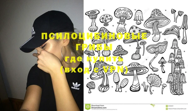 ПСИЛОЦИБИНОВЫЕ ГРИБЫ Лабытнанги